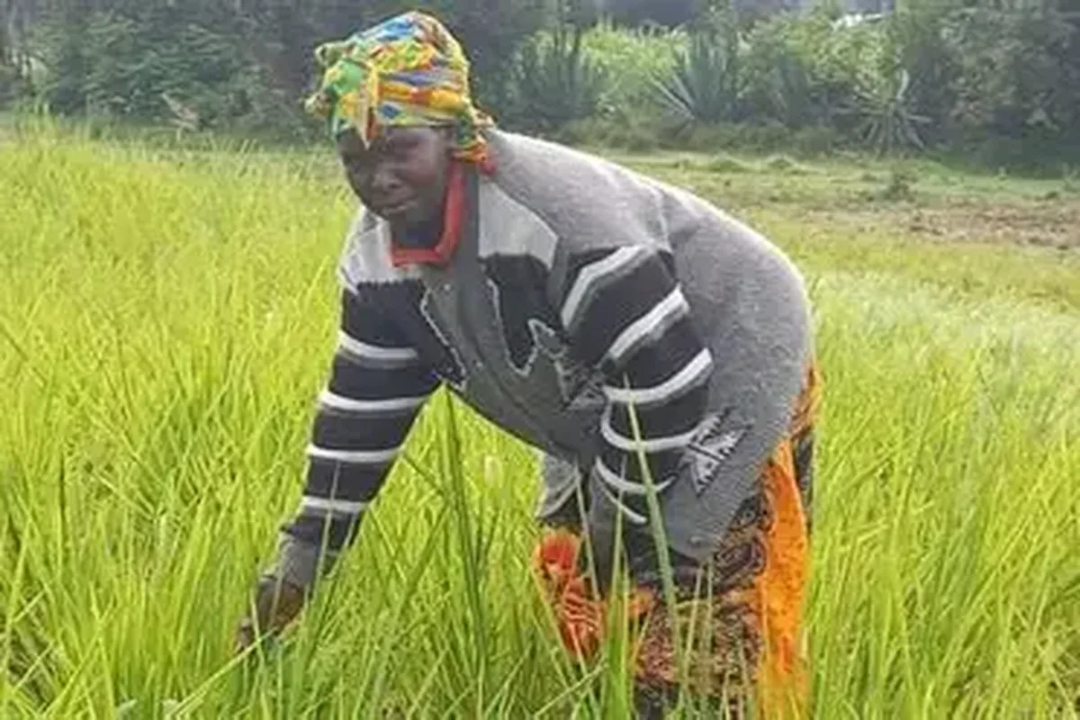 Woman working in crop field